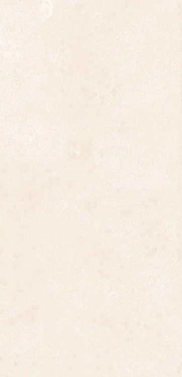 OL Marfil Matte 12 x 24